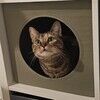 kaffeinekat